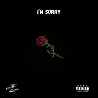 I'm Sorry by Joe L.F