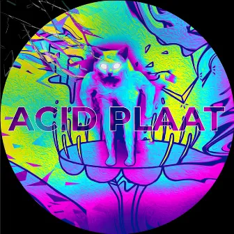 Acid Plaat by GEWOONRAVES