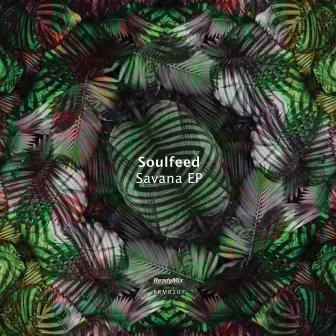 Savana EP by Soulfeed