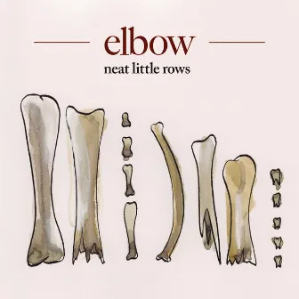 neat little rows by Elbow