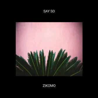 Say So by Zikomo