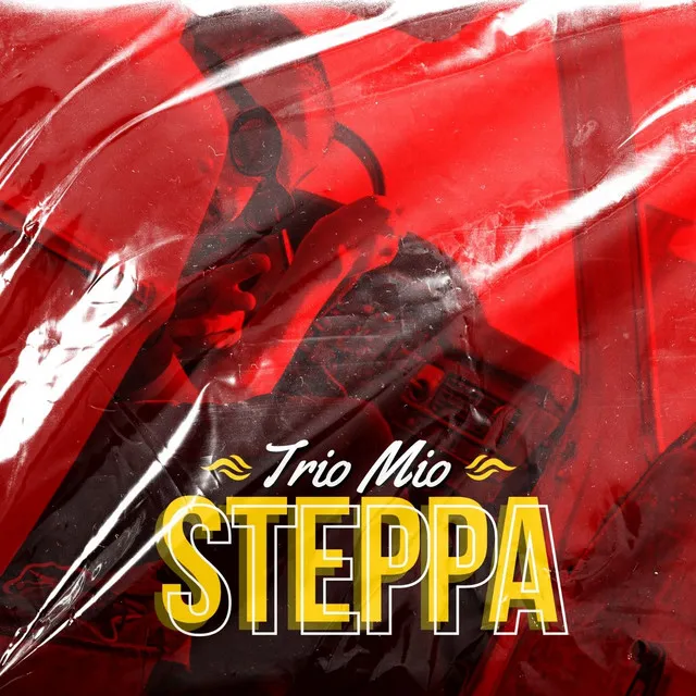 Steppa