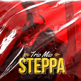 Steppa by Trio Mio