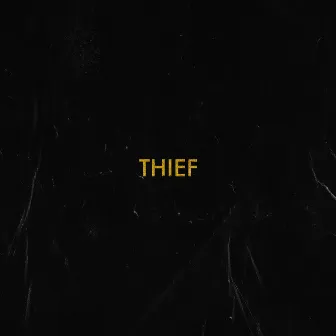 Thief by Kendall Morgan