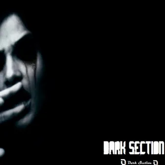 Dark Section by Manface