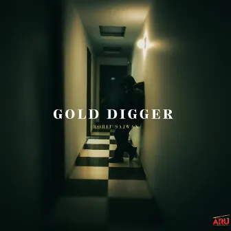 Gold Digger by ROHIT SAJWAN