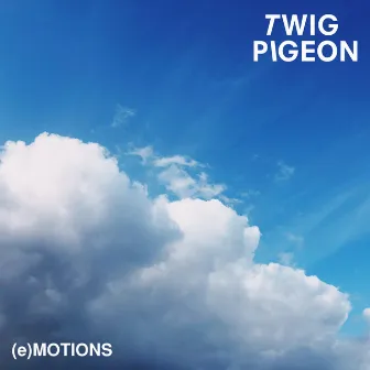 (E) Motions by Twig Pigeon