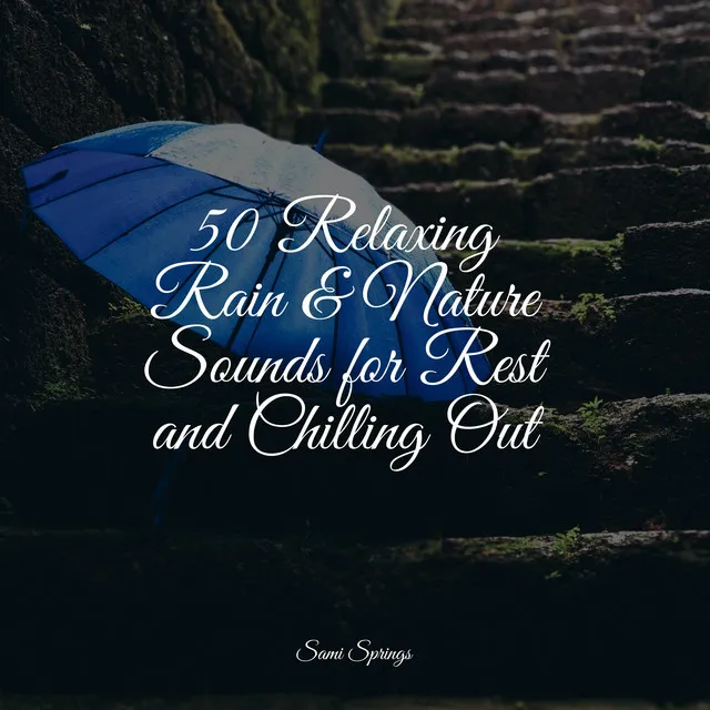 50 Relaxing Rain & Nature Sounds for Rest and Chilling Out