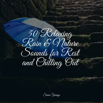 50 Relaxing Rain & Nature Sounds for Rest and Chilling Out by Fresh Water Sounds For Inner Peace