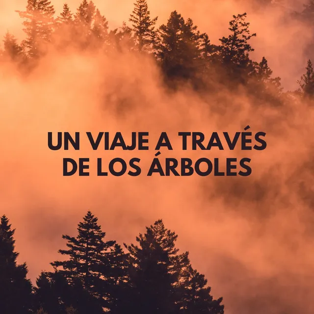 Un Viaje A Través De Los Árboles