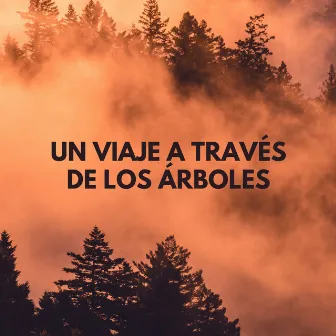 Un Viaje A Través De Los Árboles by Relajarse Meditar Sueño Medios