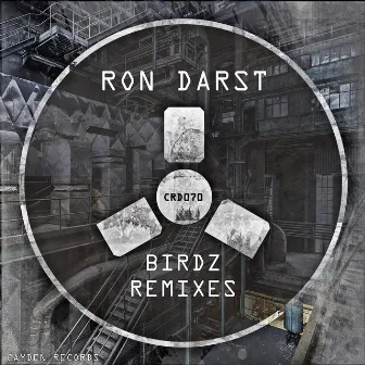 Birdz (Remixes) by Ron Darst