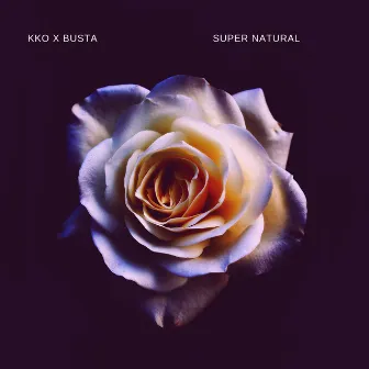 Super Natural by Busta