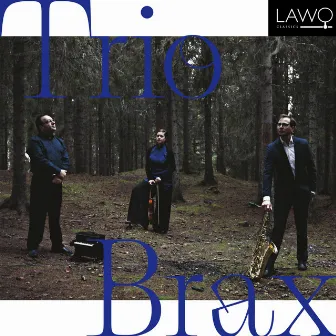 Trio for Viola, Tenor Saxophone and Piano, Op. 47: III. Duett. Lebhaft by Ola Asdahl Rokkones