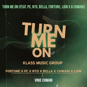 Turn Me On by Vinie Chwani