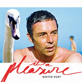 It's a Pleasure by Baxter Dury