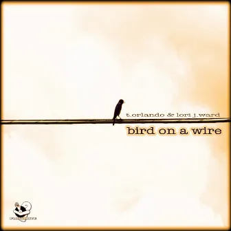 Bird On a Wire by Unknown Artist