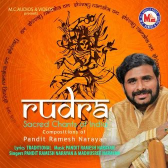 Rudra by Madhusree Narayan