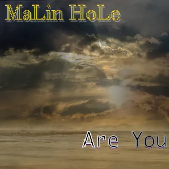 Are You by Malin Hole