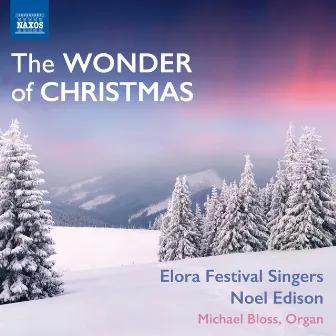 The Wonder of Christmas by Noel Edison