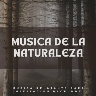 Música De La Naturaleza: Música Relajante Para Meditación Profunda by Naturaleza Caldwell