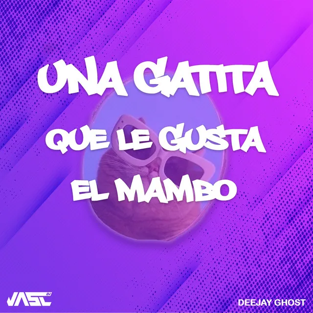 Una Gatita Que Le Gusta El Mambo