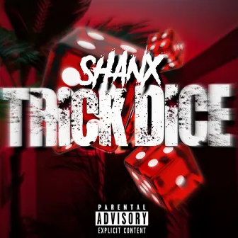 Trick Dice by Shanx