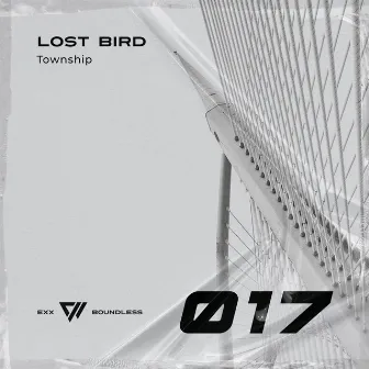 Township by Lost Bird