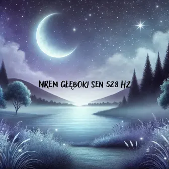 NREM Głęboki Sen 528 Hz: Nocne Leczenie i Odnowa by Częstotliwość 528Hz