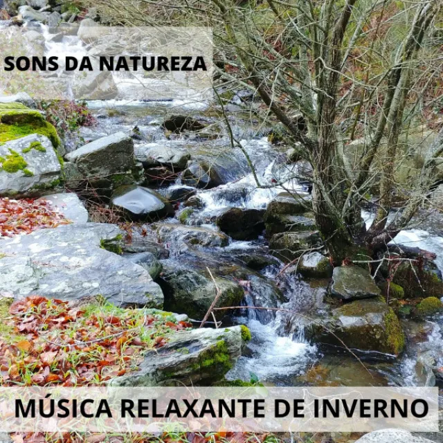 Sons Da Natureza: Música Relaxante De Inverno