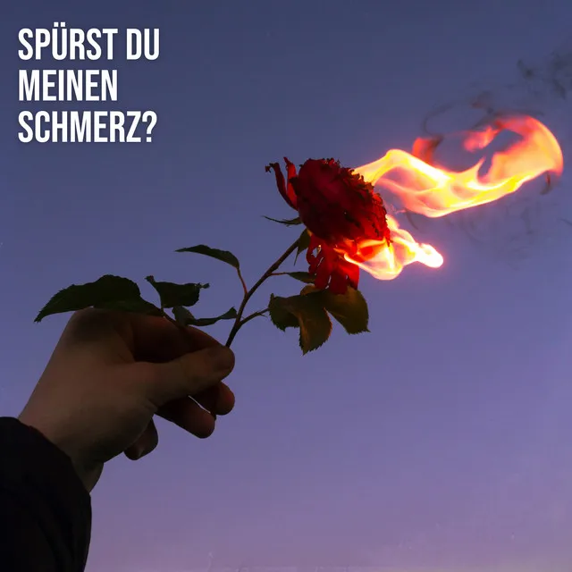 Spürst du meinen Schmerz