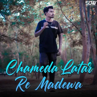 Chameda Latar Re Madewa by Unknown Artist