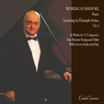 Learning by Example Series, Vol. 4 by Mordecai Shehori