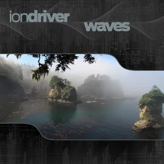 Waves by Ion Driver