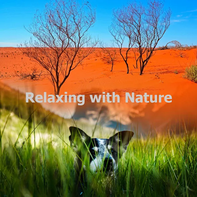 Relaxing with Nature