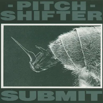 Submit by Pitchshifter