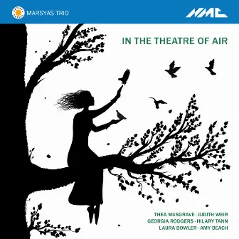 In the Theatre of Air by Marsyas Trio