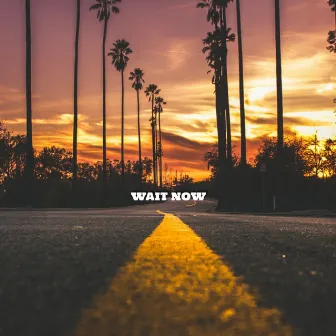 Wait Now by Camila Paiva