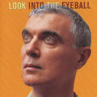 Look into the Eyeball by David Byrne