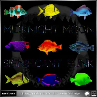 Significant Funk by MidKnight Moon