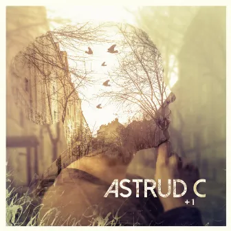 +1 by Astrud C