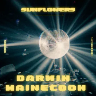 Sunflowers by Darwin x Mainecoon