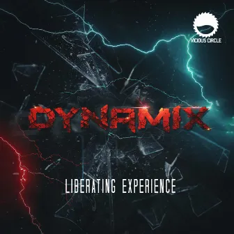 Liberating Experience by Dynamix