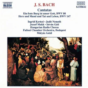 Bach, J.S.: Cantatas, Bwv 80 and 147 by Budapest Failoni Chamber Orchestra