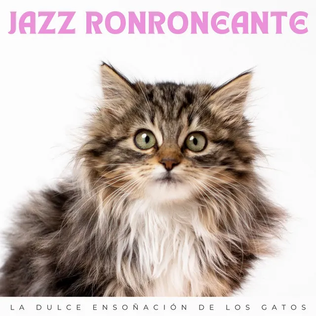 Jazz Ronroneante: La Dulce Ensoñación De Los Gatos