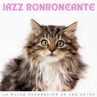 Jazz Ronroneante: La Dulce Ensoñación De Los Gatos by Cafetería París