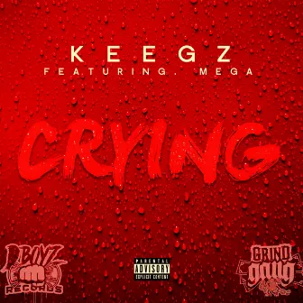 Crying by keegz