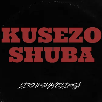 Kusezoshuba(Quantum Sound) by Lito Mshayeli RSA