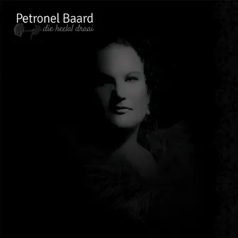 Die Heelal Draai by Petronel Baard