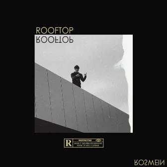 Rooftop by Roswein